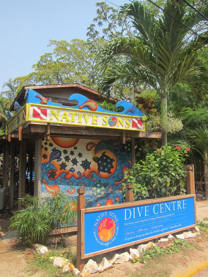 Hotel Chillies And Native Sons Diving ウェスト・エンド エクステリア 写真